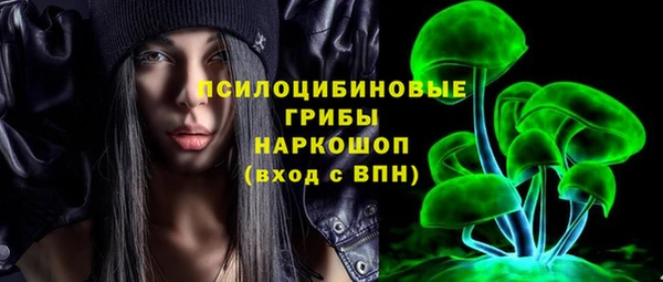 молекула духа Болхов