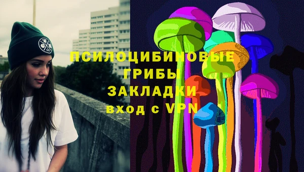 молекула духа Болхов