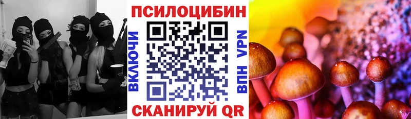 Псилоцибиновые грибы мухоморы  наркошоп  Туапсе 